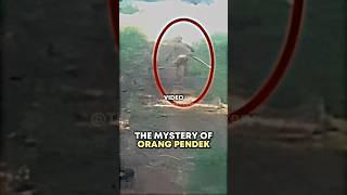 Joe Rogan: The Mystery Of Orang Pendek #joerogan #mystery