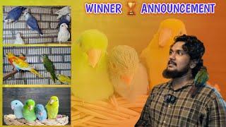 New birds arrive by Ahmed!! 98208 97467/Giveaway winner  Annusment #birdlovers #pets