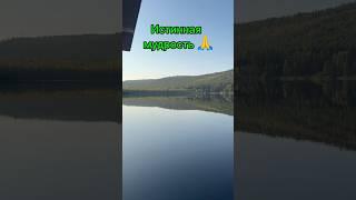 Золотые слова| Будулая сыну #мудрость #motivation #цитаты #мысли #рекомендации #shortvideo #цели