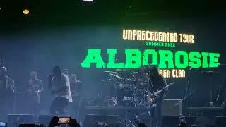 Alborosie Kingston Town #live #puppaAlbo #MexicoTown #SoulDreadAnniversary