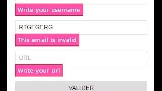 How to validate form using JQuery Validate plugin with full options