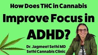 THC and Focus ADHD? Cannabis Helps ADHD Symptoms.Doctor Explains About Medical Cannabis.