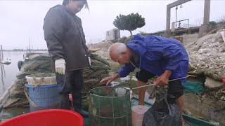 阿渔妹赶海又抓到好东西，马上打电话给鱼贩，鱼贩看一眼后全收了【阿渔妹】