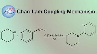 Chan-Lam Coupling Mechanism | Organic Chemistry