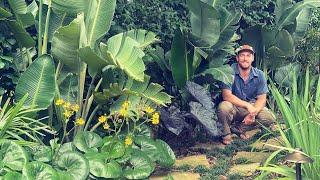 Tropical Northeast Florida Garden Tour with Landscape Designer Andy Turner