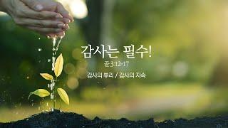 [예원교회] 주일 예배 설교 (2부) - 감사는 필수! (골로새서3:12~17) - 정은주목사 - 2025.02.09.