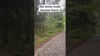 Old street inside German forest #nature #germany #old #street #history #hiking #outside #discover