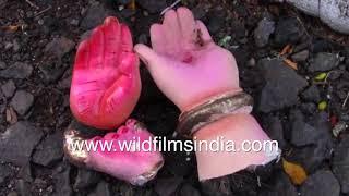 Ganesh idol immersion in India: Artificial ponds eco-friendly or still environmentally hazardous?