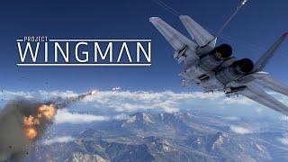 Project Wingman Full Playthrough 2023 Longplay