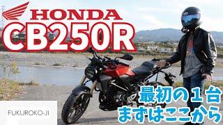 最初のバイクがCB250Rでよかったよ！【完全インプレ】　袋小路のモトブログ