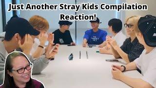 Just Another Stray Kids Compilation  by staybella | A Stray Kids Reaction