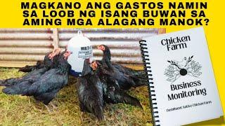 Magkano ang gastos namin sa loob ng isang buwan sa aming mga alagang manok?