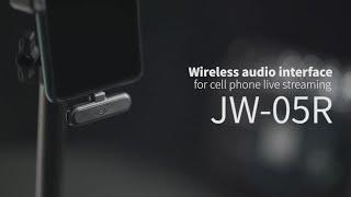 JOYO JW-05R Wireless Audio Interface