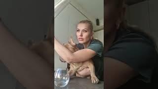 Ты тоже любишь подсматривать ?) #соседи #игры #animals #animation #amazing #facts #family