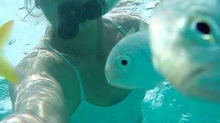 Solo Sailing Marquesas, Florida Keys, Nipple biting Fish!