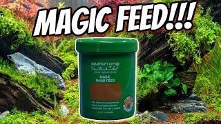 Is it Magic?  Let’s Check Out the Aquarium Coop Magic Nano Feed!