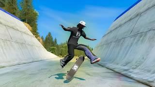 Skate 3 aura in 2024