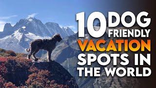 Top 10 Dog Friendly Vacation Spots In The World