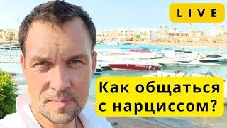 LIVE. Как общаться с нарциссом? Психолог Василий Ильин