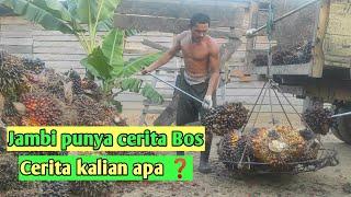 Timbang sawit lapangan || Harga TBS naik Rp.200 || @yt.kampungtiadabatas.8119