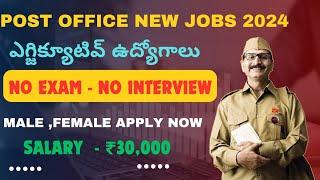 IPPB Recruitment 2024 | 344 Executive Vacancies – Apply Now!