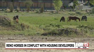 Reno horses in conflict with housing developers