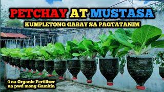 Petchay at Mustasa - 30 days lang ULAM na