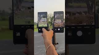 Infinix Gt 20 Pro Vs OnePlus Nord CE4 lite || Camera Test   #cameratest #zoomingtest