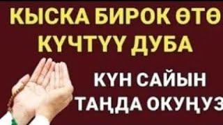 ЭРТЕ МЕНЕНКИ КҮЧТҮҮ ДУБА АР ДАЙЫМ УГУҢУЗ! ООМАТ БЕРЕКЕ ЫРЫСКЫ АЛЫП КЕЛЕТ. ИН ШАА АЛЛАХ