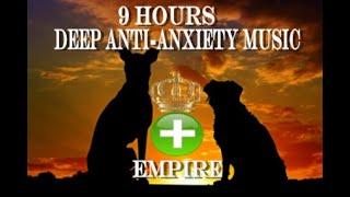 9 Hours of Deep Separation Anxiety For Dog Relaxation(tested)