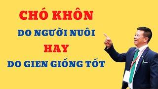 Chó Khôn Do Người Nuôi Hay Chó Khôn Do Gien Giống Tốt / Bằng Đoàn TB