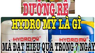 DƯỠNG RỄ HYDRO MỸ là gì ? Mà sử dụng trong vòng 7 ngày đã ĐẠT HIỆU QUẢ CAO