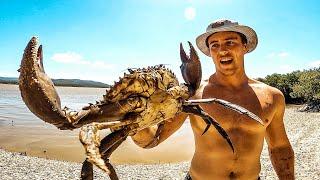 Hunting MUDCRABS in Dangerous Crocodile Waters!!