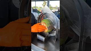 Amazing machine coconut cutting skills