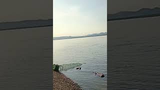 Предупредили о медведе 