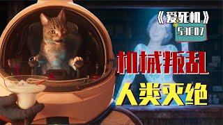 猫咪坐火箭移民到火星生活？末日人类自私自利导致彻底灭绝！