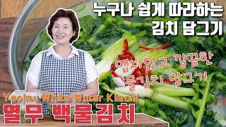 [김치쌤 이하연] 열무백물김치 담그기 깔끔하고 시원한 여름 물김치