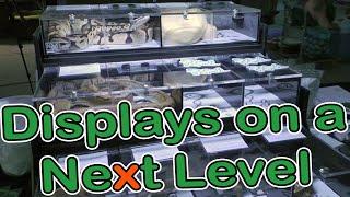 Next-Level Displays unboxing and set up (reptile show display)