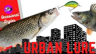 Monster 6LB Chub - Urban BFS and Ultra Lite Lure Fishing | River Season || the occasional angler