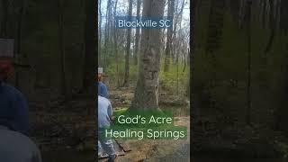 God's Acre Healing Springs Blackville SC #shorts