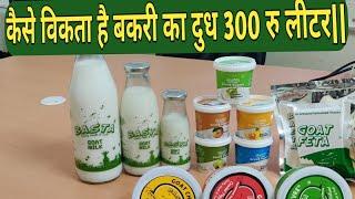 कैसे विकता है बकरी का दुध 300रु लीटर | Goat Milk Products |Goat Farming @Srgoatfarm650