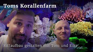 Tom und Eike erklären, wie man einen Riffaufbau gestalten sollte