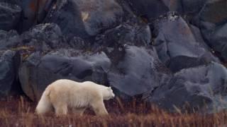 How a Trip to Manitoba Will Change Your Life