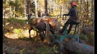 02/25/20 UVM Extension's Farm Viability Program on 'Across The Fence'