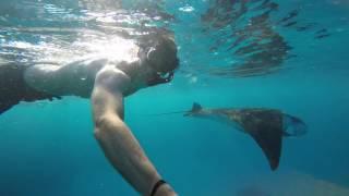 Snorkeling with Mantas at Manta Point, Nusa Penida