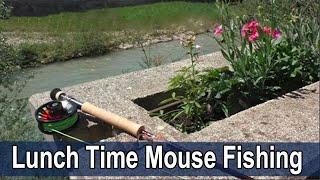 Lunch Time Mouse Fly Fishing - Fliegenfischen mit der Mausimitation