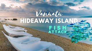 Fish Attack Hideaway Island #vanuatu #traveltips
