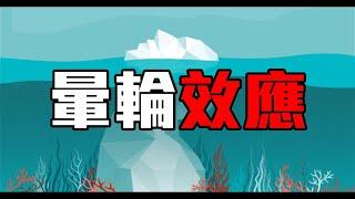 晕轮效应是什么【效应01】