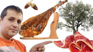 These TREES Make the World's Best Ham｜Jamón Ibérico de Bellota and How it's Raised