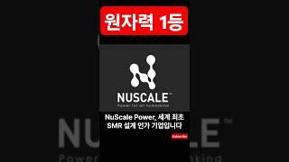 뉴스케일 파워(SMR)